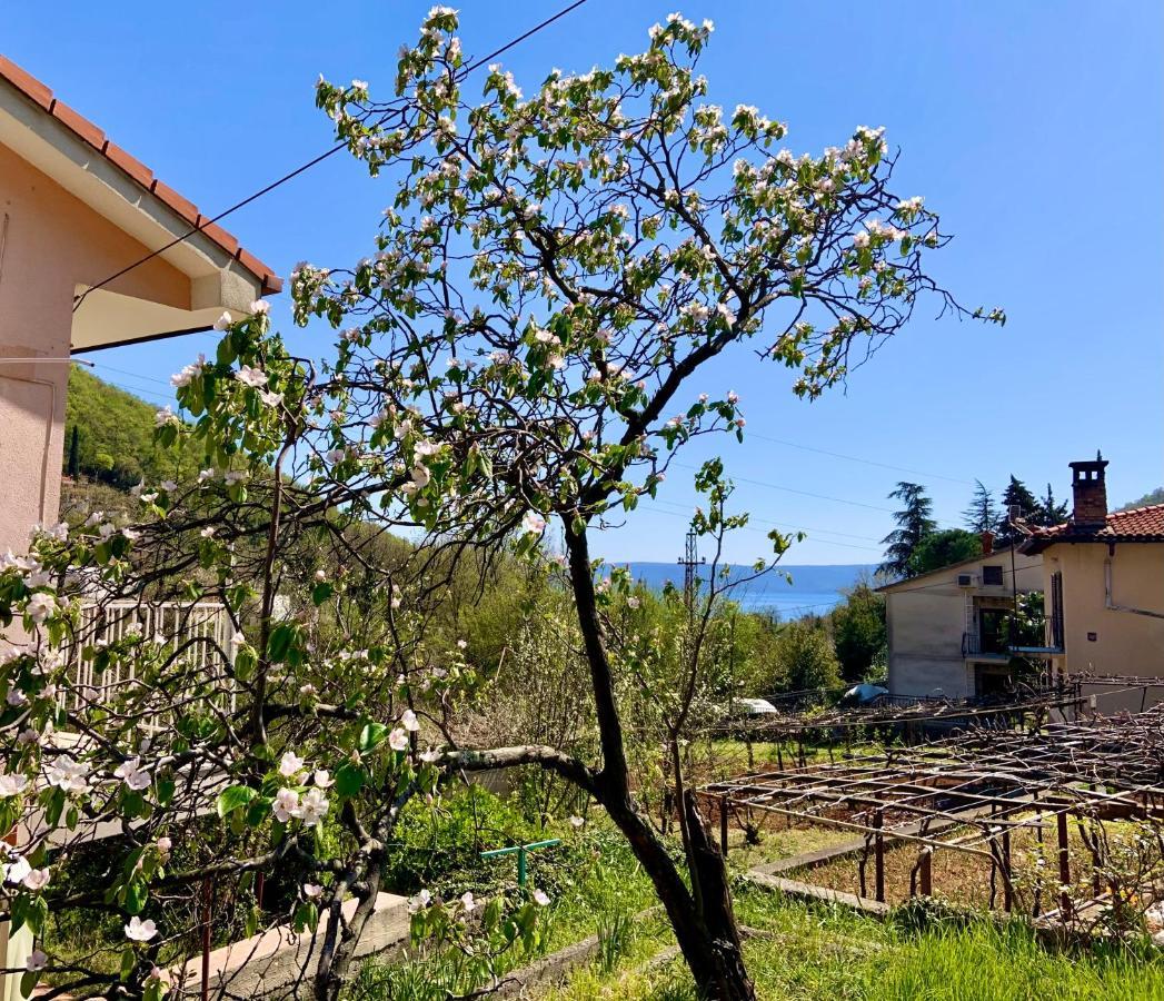 Villa Flamingo Moscenicka Draga Exterior foto